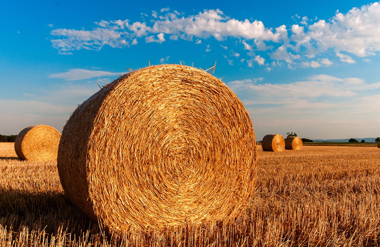 Produttori agricoli, nuove regole per la vendita diretta